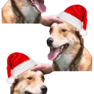 🎄