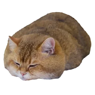 😚