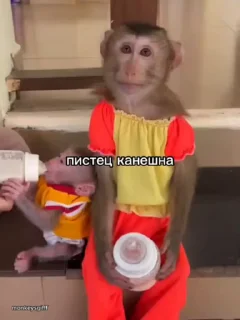 😅