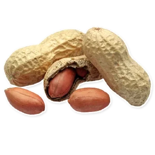 🥜