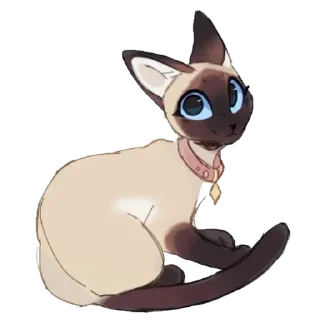🐱