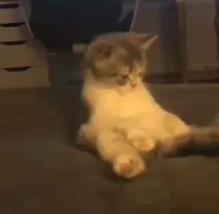 😍