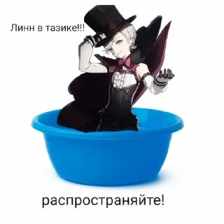 🌟