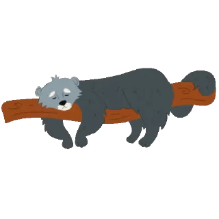 🐻
