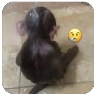 😢