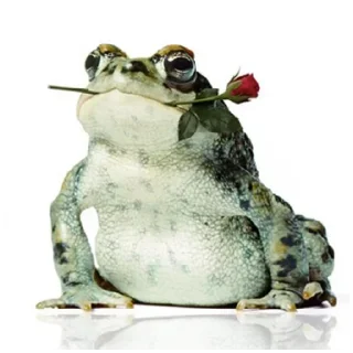 🌹