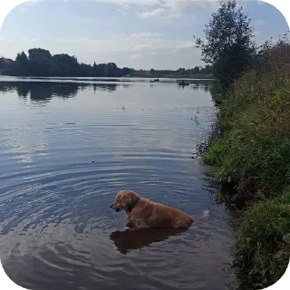 🏞