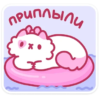 🐱