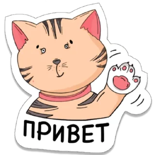 Tiger cub