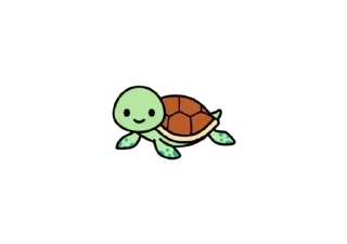 🐢