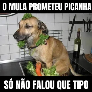 🐶