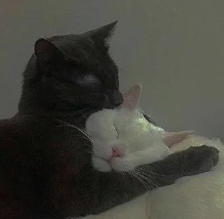 💒