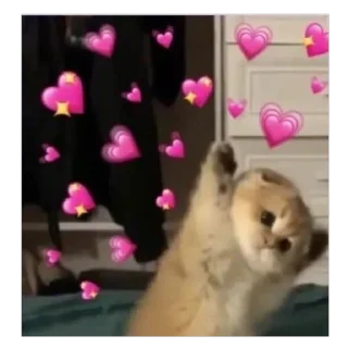 🥰