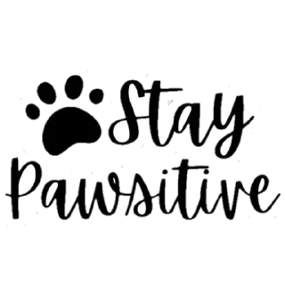 💡