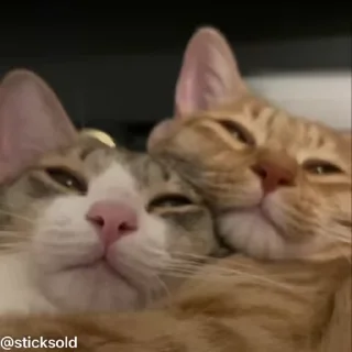 ❤️