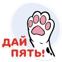🤚