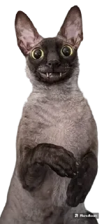 🙂