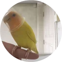 😄