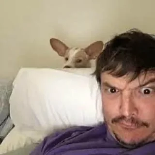 🤨