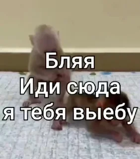 🔞