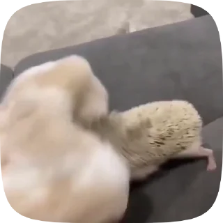😡