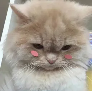 😊