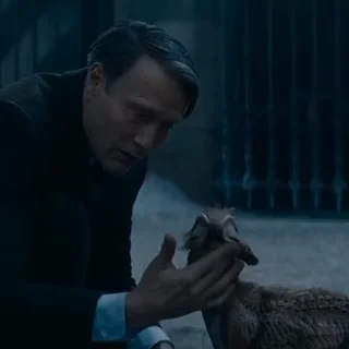 🎬
