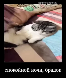 😌
