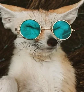 😎