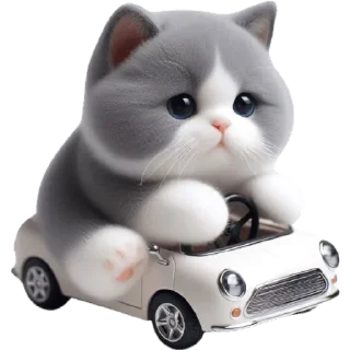 🚗