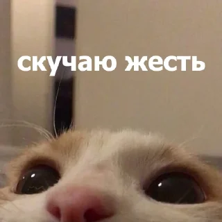 😒