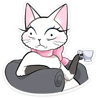🐱