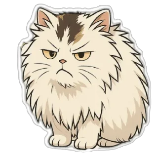 😾