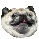 😛