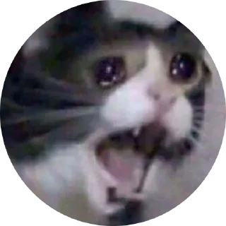 😱