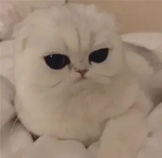 😐