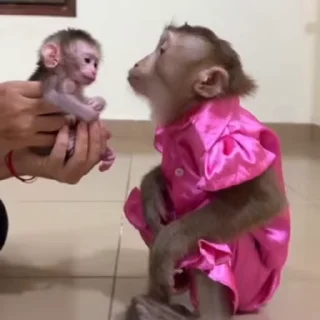 🥰