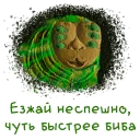 🐛