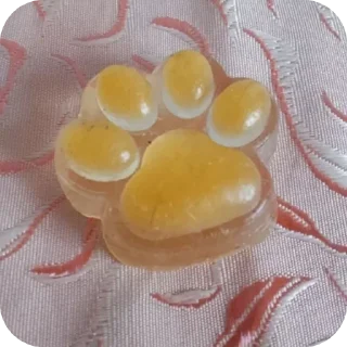 🐾