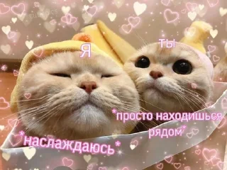 😌
