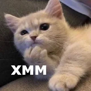 🤔