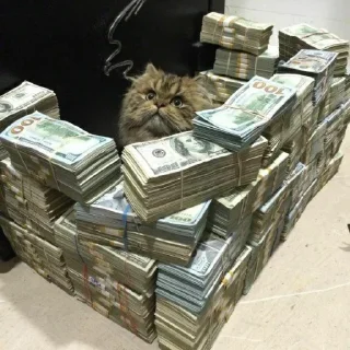 💰