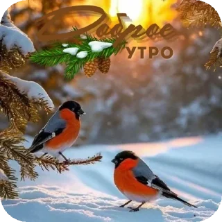🐦