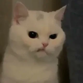 😠
