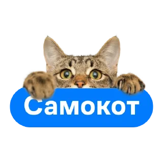 Samokot