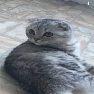 🤓