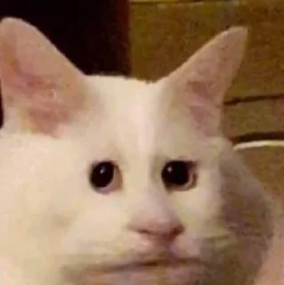 😭