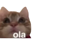 👋
