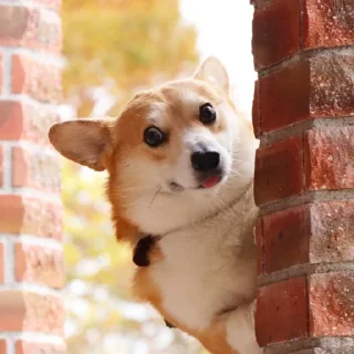 😍