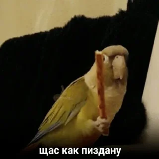 😡